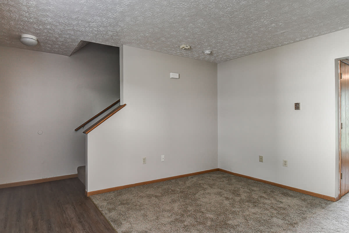 Photos and Video of Willow Greene in Bridgeport, WV